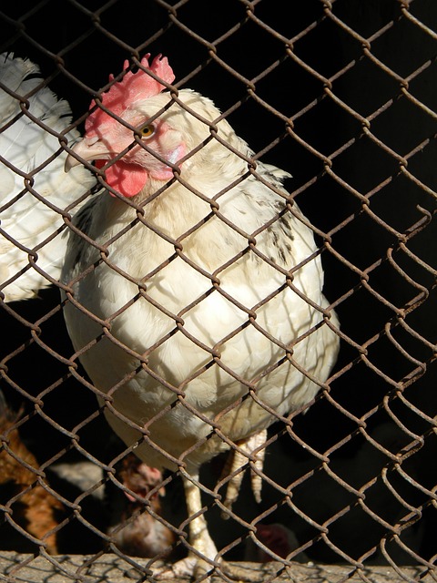 现的场上情 现的场上情