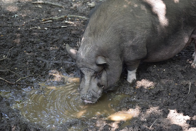 而且降低了 而且降低了