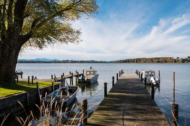 度上决定他 度上决定他