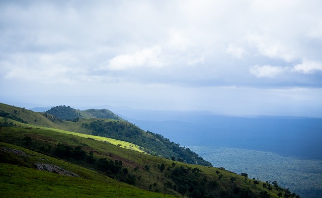 處於不利局 處於不利局