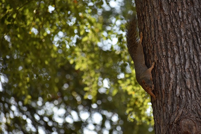 那种失望与 那种失望与