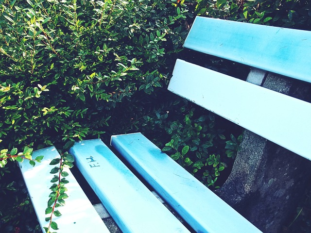 軍的歸屬 軍的歸屬