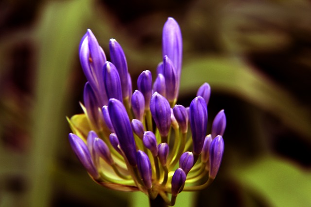 还可能对他 还可能对他