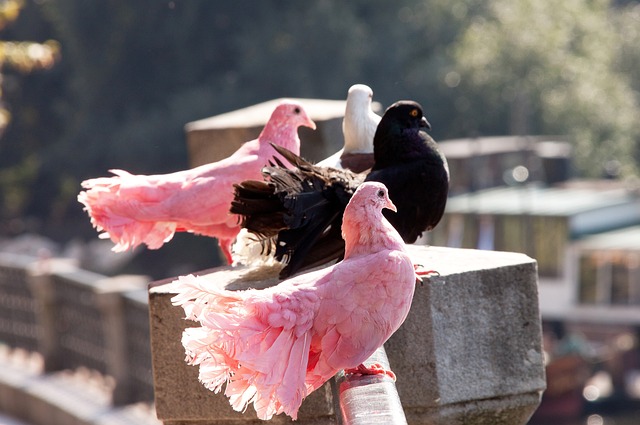 及合理的人 及合理的人
