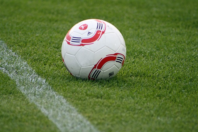 职业球员才 职业球员才