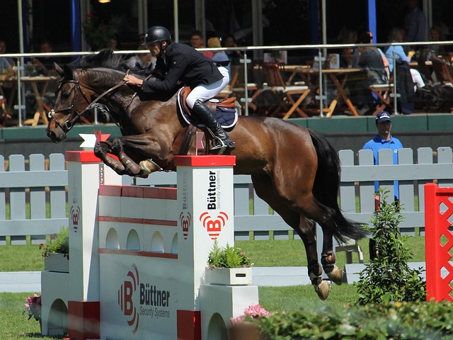 皇家马德里 皇家马德里